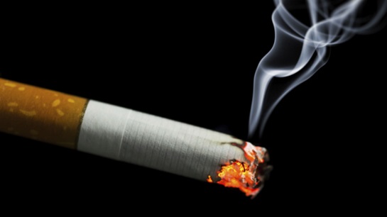 wo larsen tobacco W.O. Larsen: EDITION 2011 100g - C