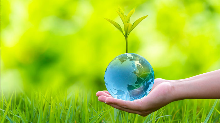 What could sustainability mean in insurance?