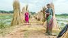 Magazine article aboutPolicy-tools-that-protect-the-poor 
